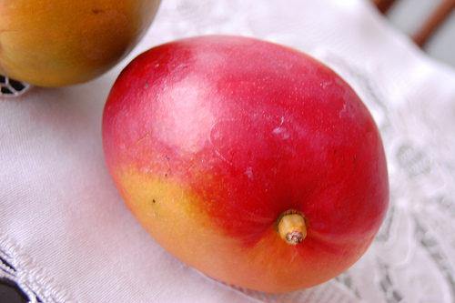 mango africano para adelgazar