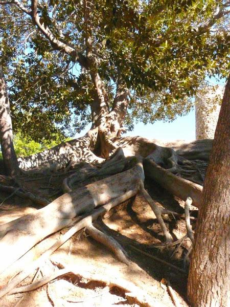 Parque Torres Cartagena