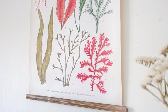 il_570xN.353134418_19dz