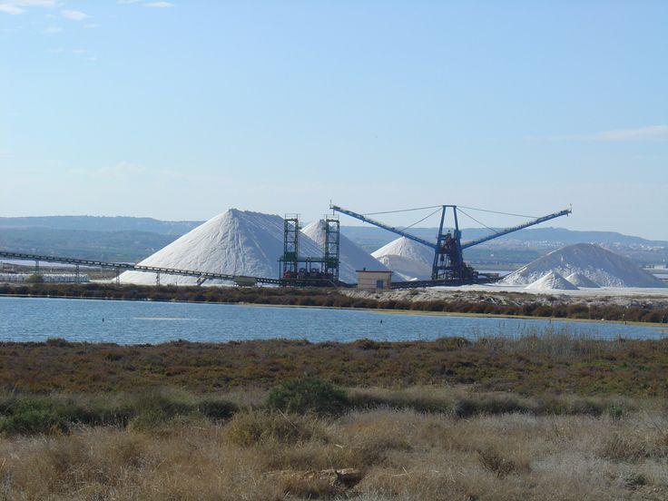 Salinas de torrevieja