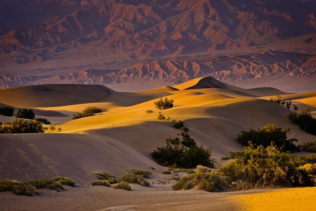 Death Valley Dunes