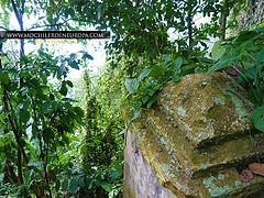 Ruta Mausoleo Dr. Knoche