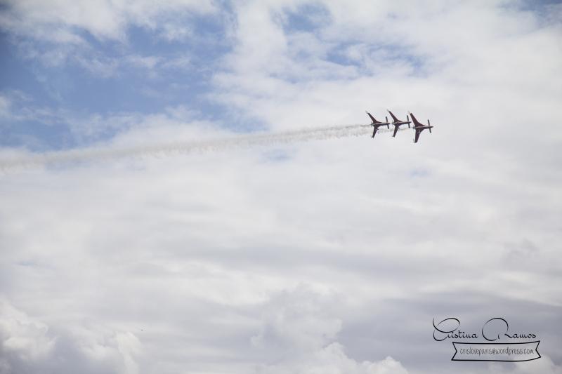 adormideras aviones 245