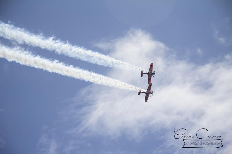 adormideras aviones 358