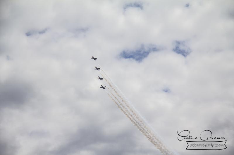 adormideras aviones 693