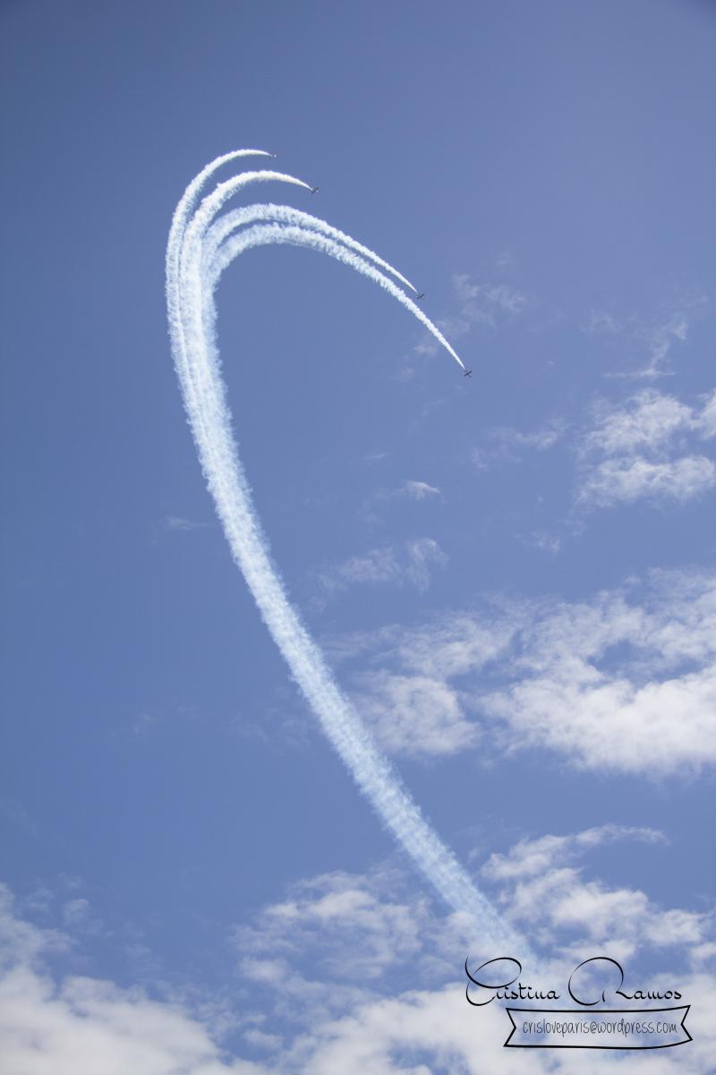 adormideras aviones 775