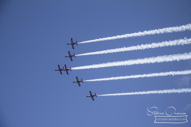 adormideras aviones 821