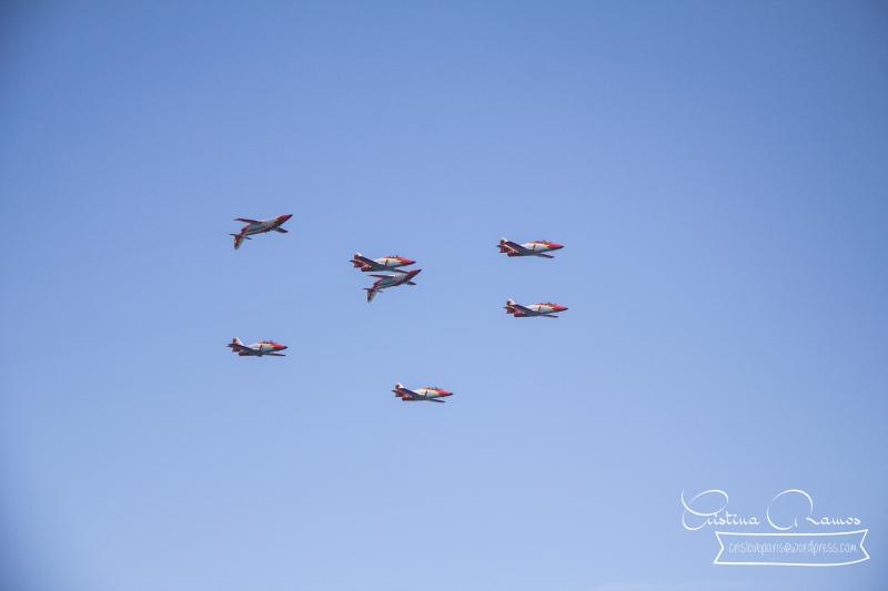 adormideras aviones 828