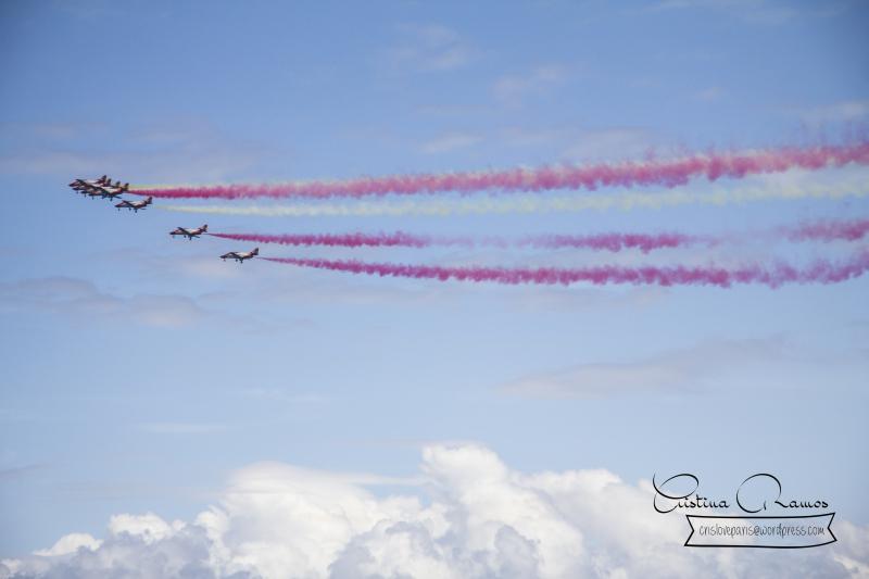 adormideras aviones 848