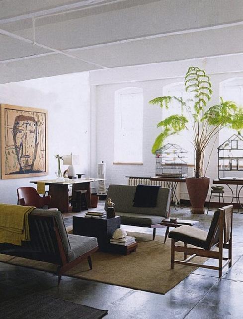 Decorar tu salón con plantas