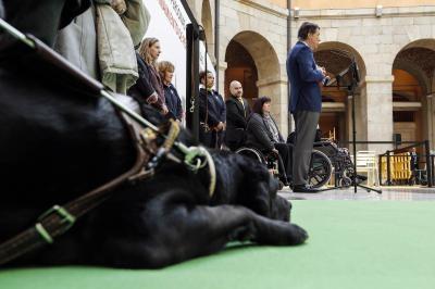 viajar con perro
