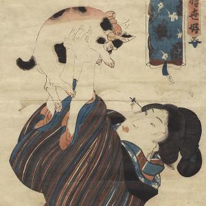 gato y geisha