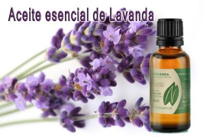 lavender