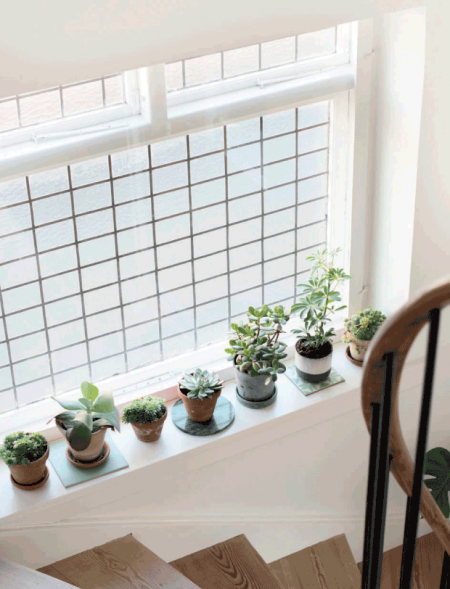 06-decoracion-con-plantas