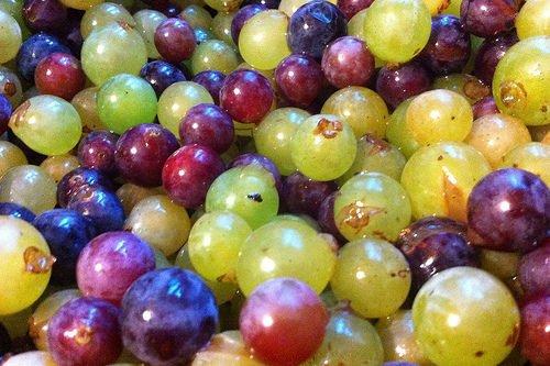 dieta depurativa con uvas