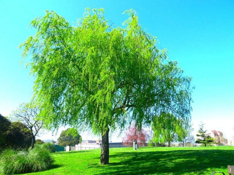 paula casielles l Casual Look In A Green Setting