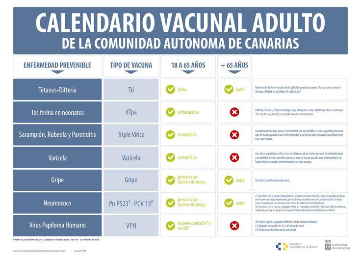 calendario vacunal del adulto 2015 - Buscar con Google