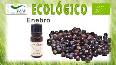 aceite_esencial_ enebro