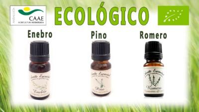 aceites esenciales externo_montado