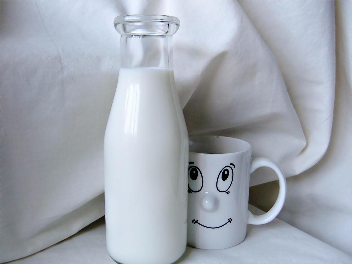 leche y calcio