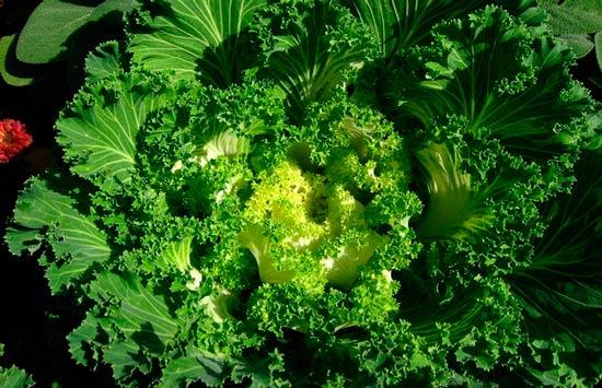 Potenciar la memoria