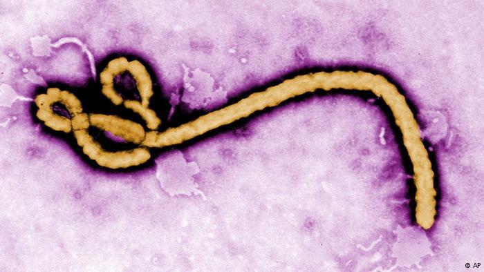 ¿Cómo se contagia el Ébola? 