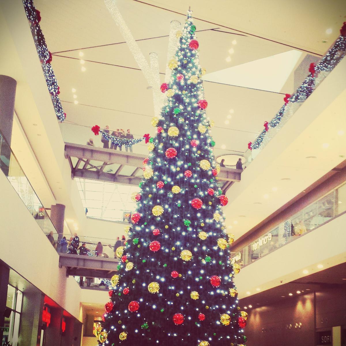 15877061519_416c082479_o