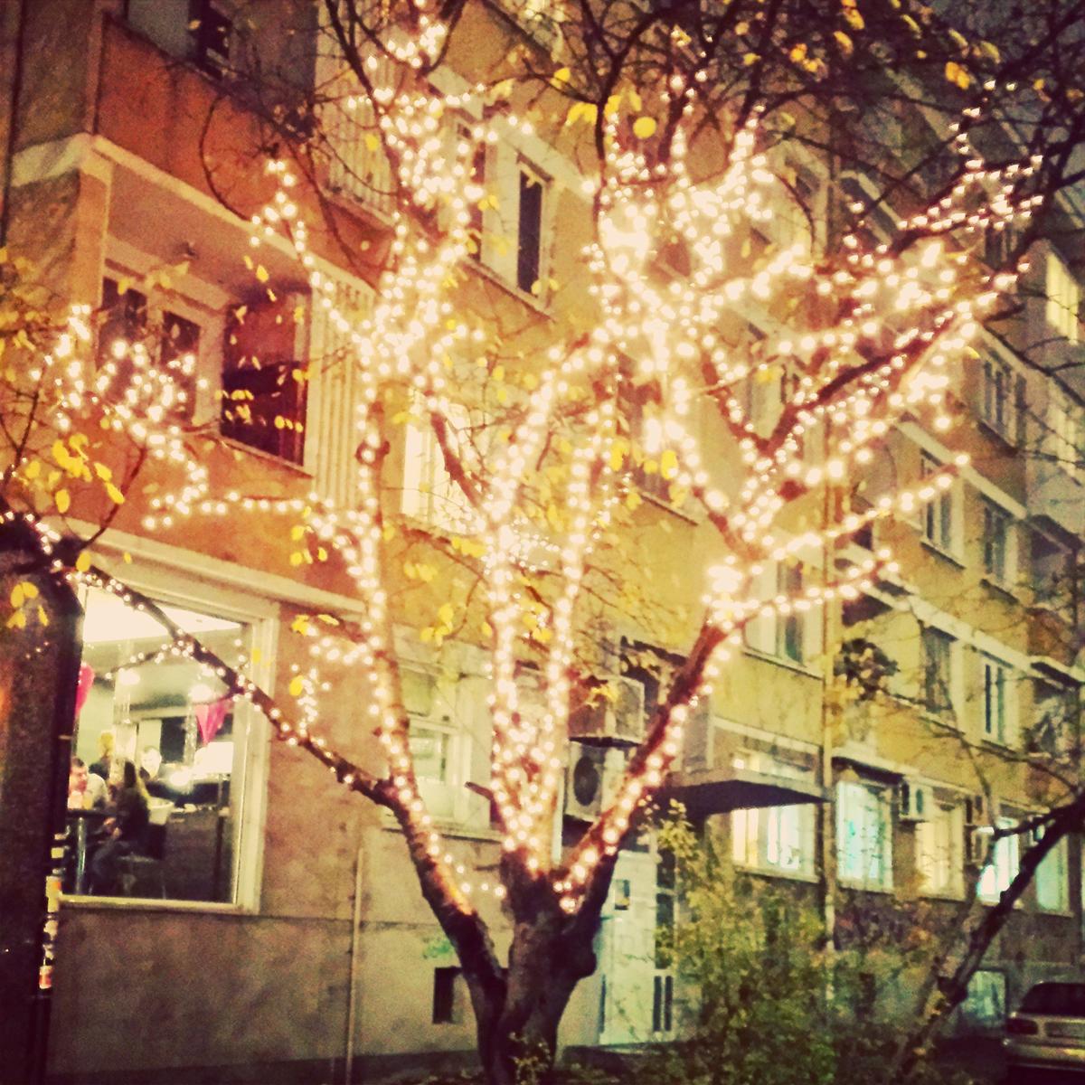 16061201541_d9a1ee68a7_o