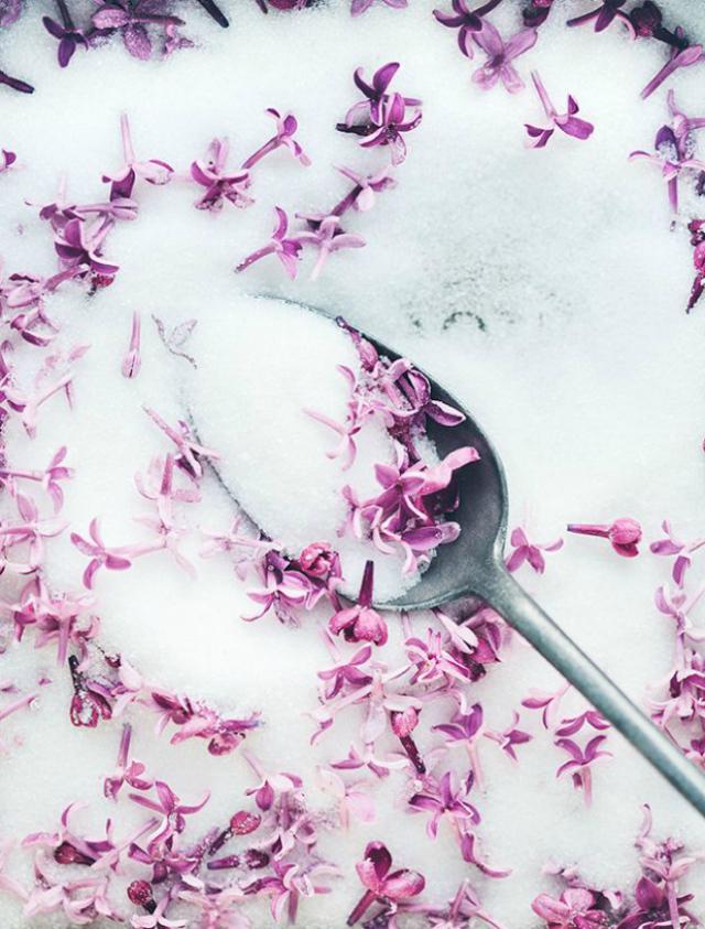 lilac-sugar
