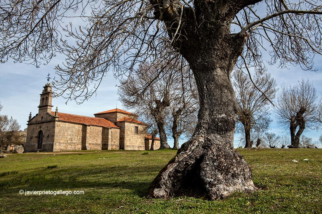 La ermita de Nuestra Señora del Castillo, cerca de Pereña de la Ribera, aparece rodeada de fresnos. Las Arribes salmantinas. Salamanca. Castilla y León. España © Javier Prieto Gallego