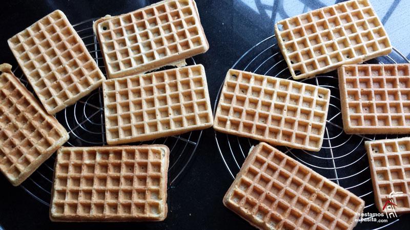 Gofres de Lión - Yaestamosencasita.com