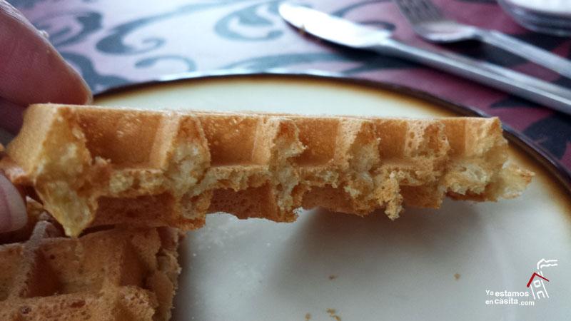 Gofres de Lión - Yaestamosencasita.com