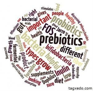 Prebióticos y probióticos