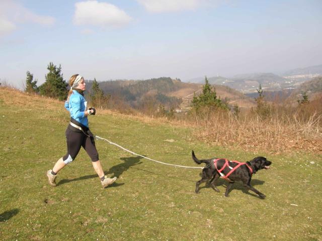 canicross