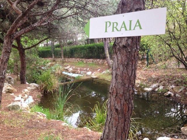 Praia_Verde_19