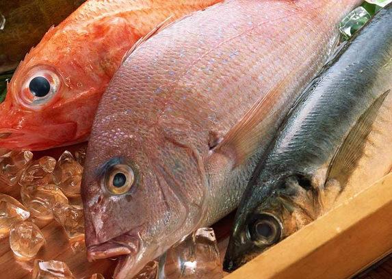 Pescado-en-el-mercado