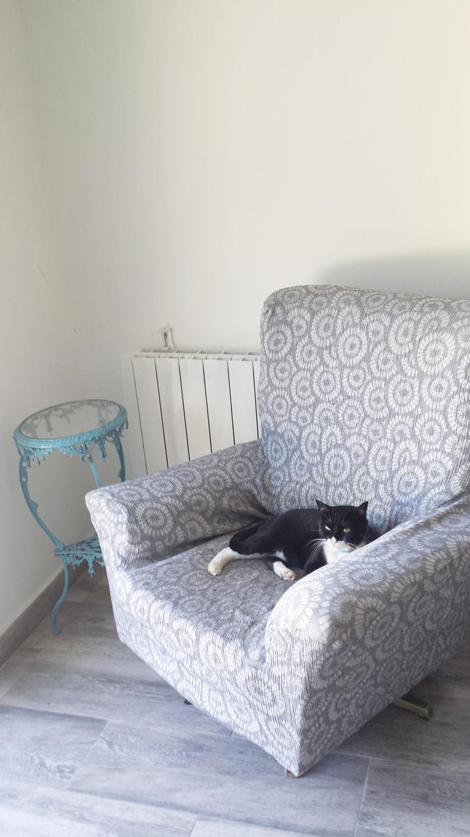 Decorar con telas - Sillón con funda estampada
