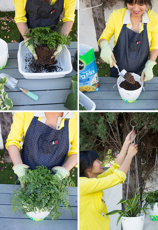 cultivar plantas de interior