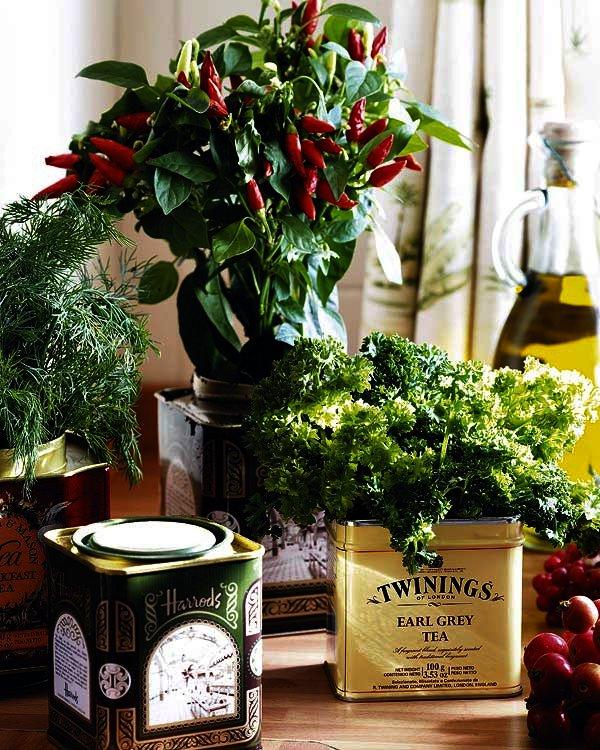 Reciclar latas de conserva, DIY.; Ideas para decorar cualquier rincón de nuestra casa.