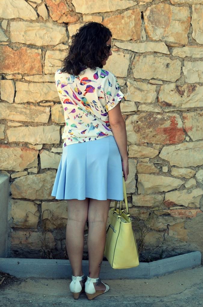 Mi vestido azul - Birds (16)