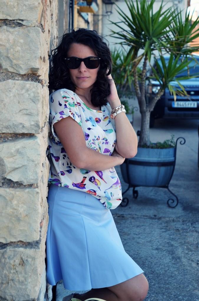 Mi vestido azul - Birds (17)