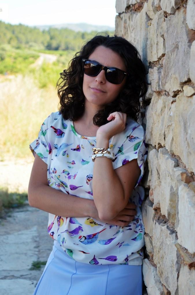 Mi vestido azul - Birds (19)