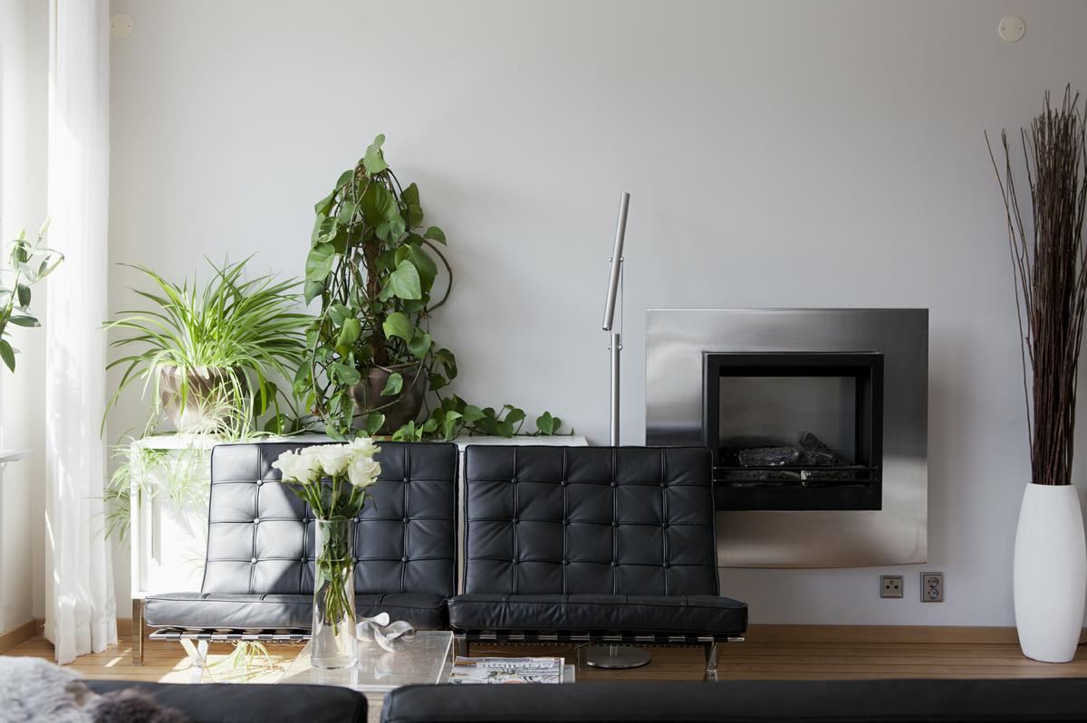 Estilo moderno y madera: Estilo y calidez unidos.