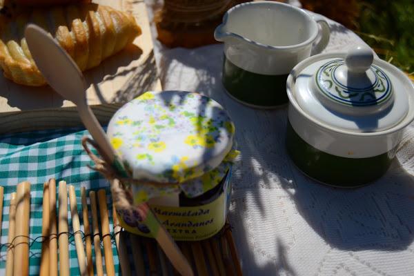Ideas para montar un picnic