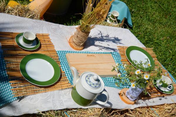 Como hacer un picnic