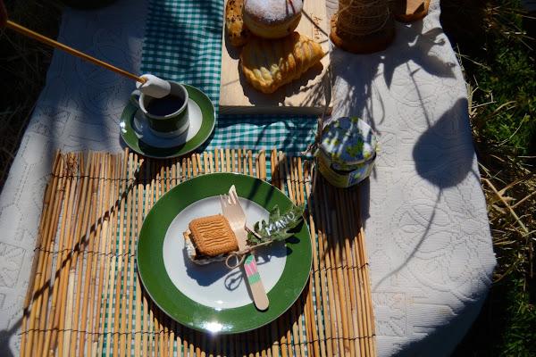 Como hacer un picnic