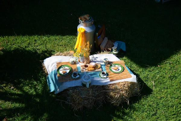 Montar un picnic rústico