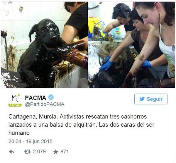 Imagen 0