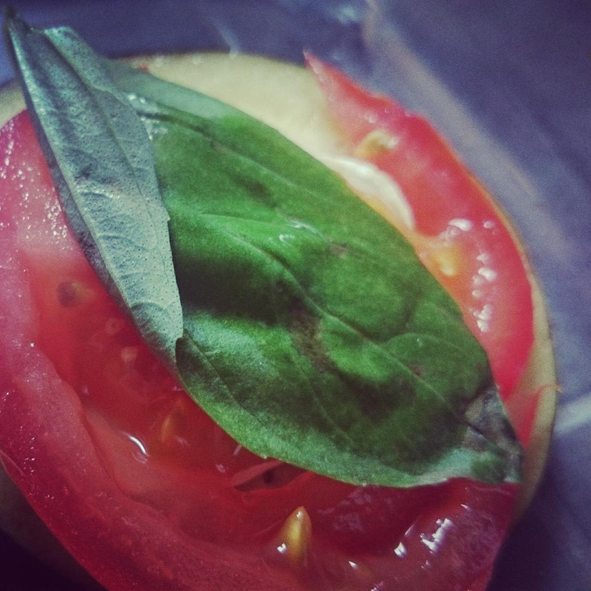 timbaldeberenjena-albahaca