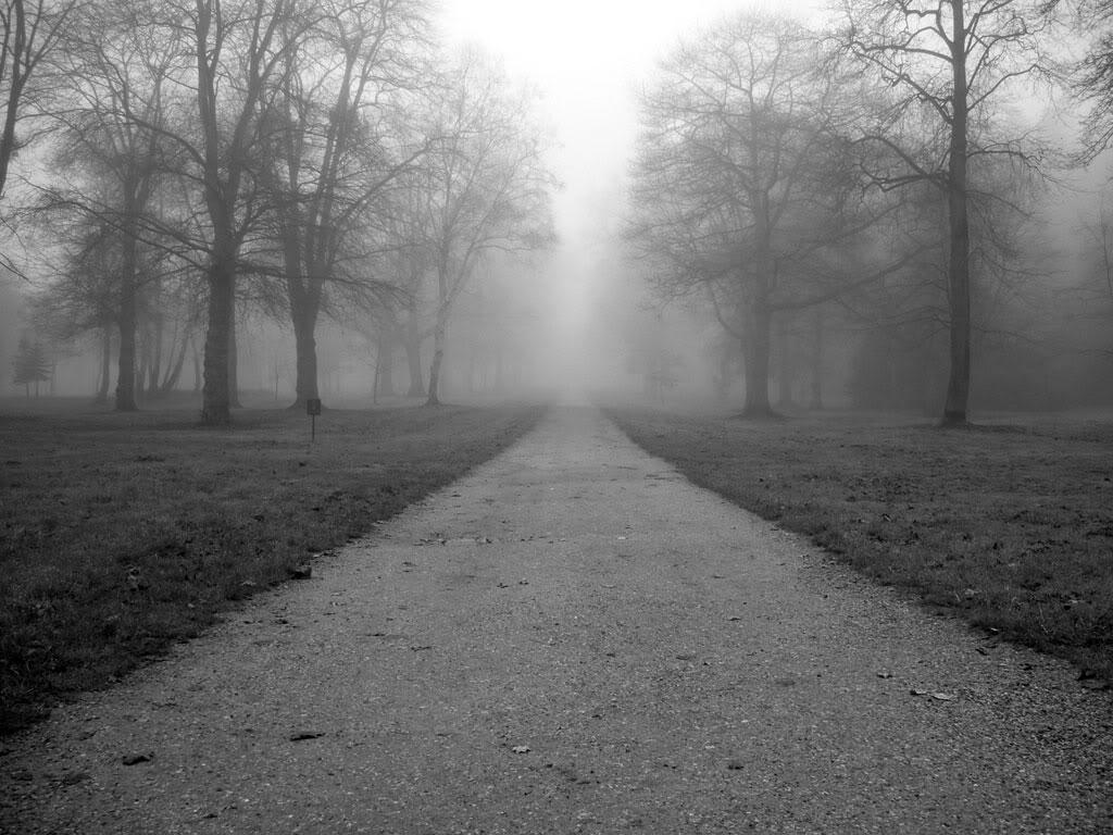 gris color de la soledad